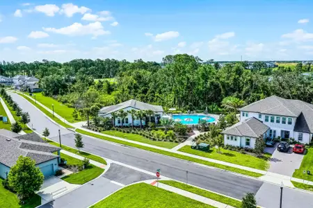 Northlake At Ovation by Rockwell Homes in Winter Garden - image 16