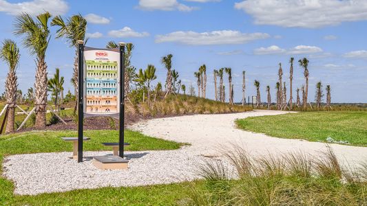 Esplanade at The Heights by Taylor Morrison in Bradenton - photo 19 19