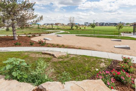 Trailside Alley Load - Single Family Homes by Hartford Homes in Timnath - photo 10 10