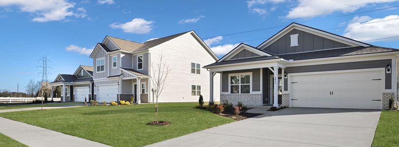 Farmhouse Downs: Cambridge - image