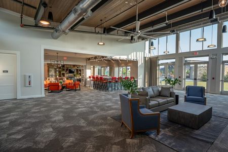 Trinity Falls by Cadence Homes in McKinney - image 16
