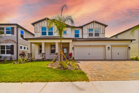 Berry Bay by M/I Homes in Wimauma - photo 39 39