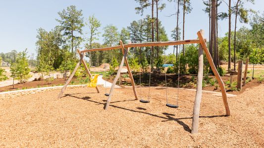 Evergreen 50' by Perry Homes in Conroe - image 12