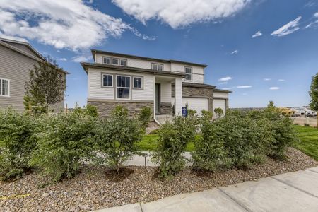 Floret Collection at Alder Creek by Century Communities in Parker - photo 1 1