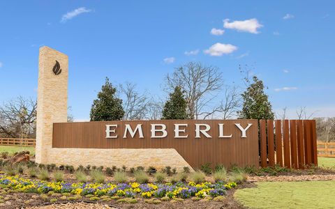 Emberly by CastleRock Communities in Beasley - photo 0