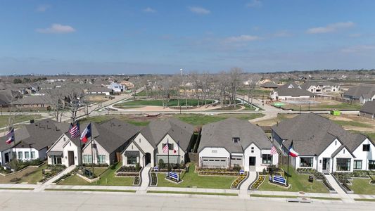 Riceland 60’ Homesites by David Weekley Homes in Mont Belvieu - image