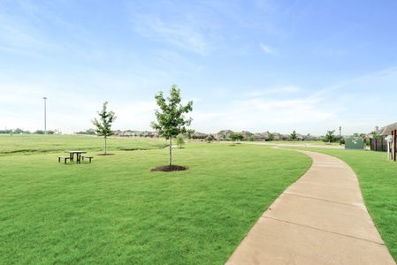 Star Ranch Elements by Bloomfield Homes in Godley - photo 3 3