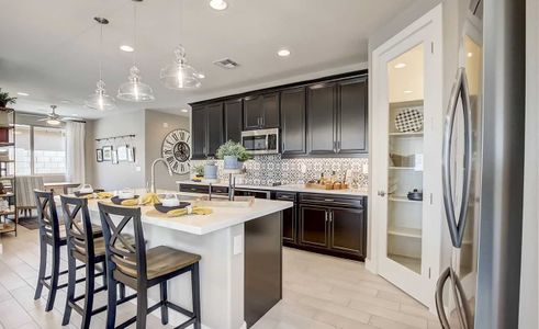 Castillo at Anderson Parc by Brightland Homes in Buckeye - photo 18 18