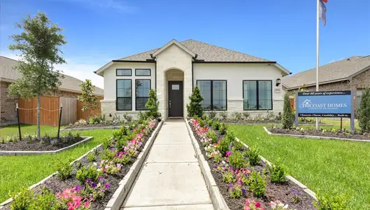 Emberly  45' by Tricoast Homes in Beasley - image