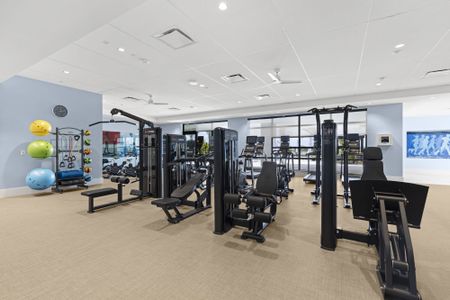 Tradition - Telaro by Mattamy Homes in Port St. Lucie - image 17