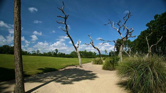 Hammock Dunes by Bellagio Custom Homes in Palm Coast - photo 20 20