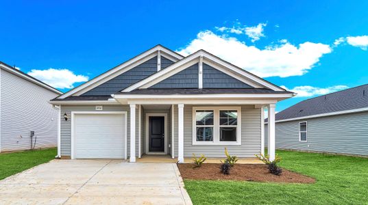 Seaside Palms by Dream Finders Homes in Sunset Beach - image 16