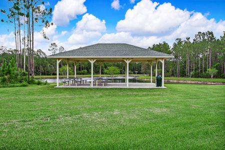 Sandy Creek by SEDA New Homes in Saint Augustine - photo 11 11