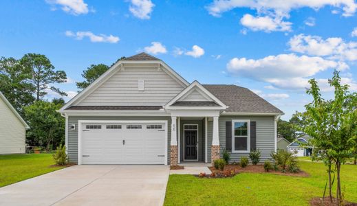 Riverwalk Single Family by Chesapeake Homes in Leland - image