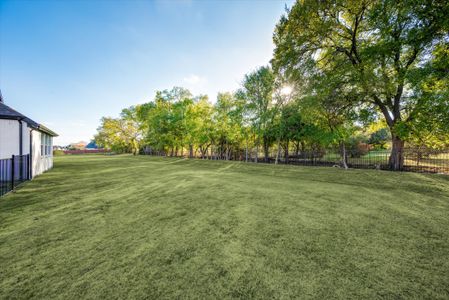 Enchanted Creek by Our Country Homes in Lucas - photo 4 4