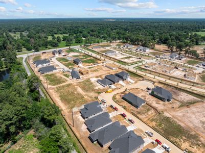 Sorella by M/I Homes in Tomball - photo 4 4