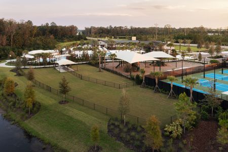 Mariposa at EverRange by Riverside Homes in Jacksonville - image 12