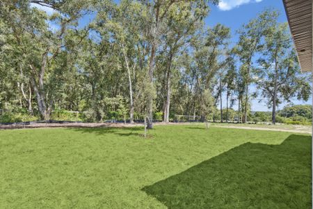 Estes Reserve by Hartizen Homes in Eustis - image 17