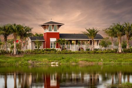 Lakespur at Wellen Park by Mattamy Homes in Venice - image 8
