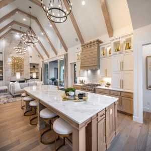 The Grove Frisco: 74ft. lots by Highland Homes in Frisco - photo 8 8