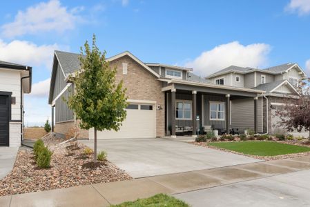Kitchel Lake by Bridgewater Homes in Timnath - image 11