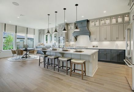 Cane Island by Shea Homes in Katy - photo 4 4