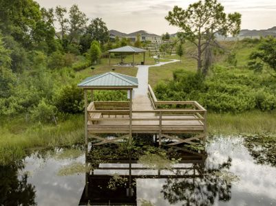 Trinity Lakes - Master planned community in Groveland, FL 13 13