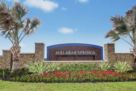 Malabar Springs by Maronda Homes in Palm Bay - image