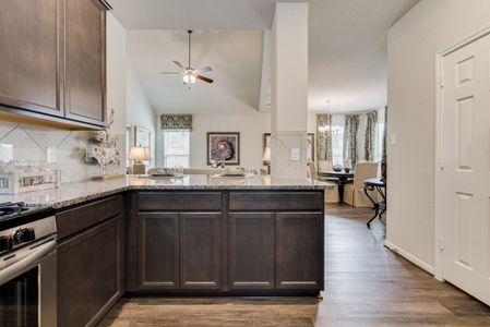 Balmoral East by Colina Homes in Houston - photo 17 17