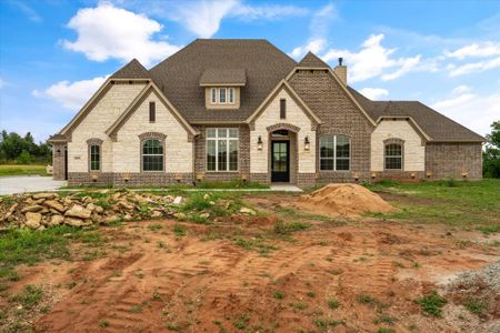 Panther Creek Ranch by Premier Homes Inc. in Aledo - photo 4 4