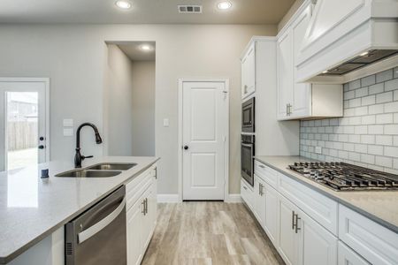 Valencia on the Lake by Megatel Homes in Little Elm - photo 6 6