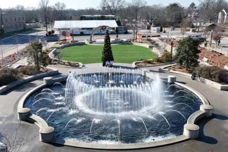 Hardy Pond Townhomes by David Weekley Homes in Rock Hill - image