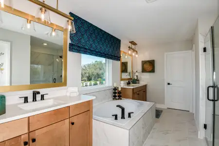 Vintner Reserve by Beazer Homes in Clermont - image 14