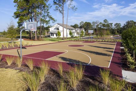 Trailmark Phase 6 by Drees Custom Homes in Saint Augustine - photo 8 8