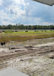 Westview: Aden South III by Lennar in Kissimmee - photo 13 13