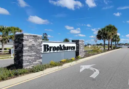 Brookhaven by Adams Homes in Ocala - photo 39 39