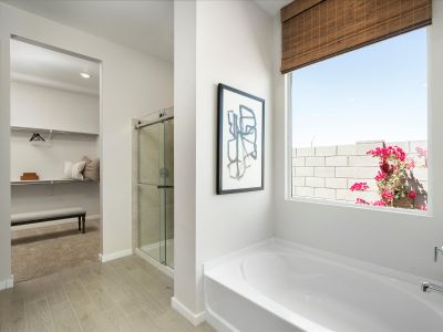 White Tank Foothills Signature Series by Meritage Homes in Waddell - image 12
