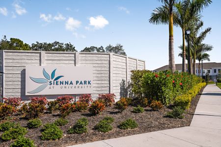 Sienna Park at University by M/I Homes in Sarasota - photo 4 4