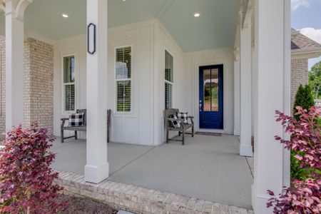 Marlon's Creek by Regent Homes in Spring Hill - image 3