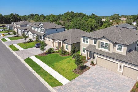 Avalon West by M/I Homes in Spring Hill - image 18
