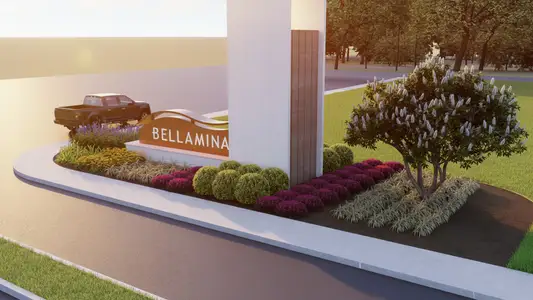 Bellamina by DRB Homes in Waller - image
