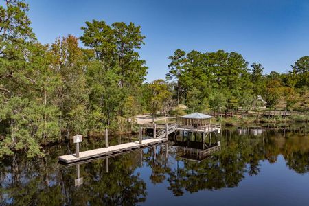 NorthShore on the St. Marys River by Smith Family Homes in Kingsland - image 19