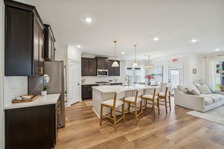 Two Step Farm by DSLD Homes in Montgomery - image 6