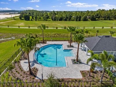 Gardenia Reserve by Mattamy Homes in Apopka - photo 2 2