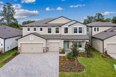 Avalon West by M/I Homes in Spring Hill - photo 24 24