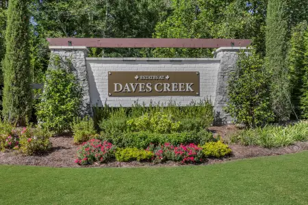 Estates at Daves Creek by Beazer Homes in Cumming - image