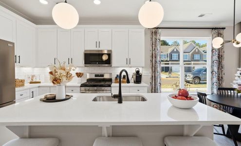 Blythe Mill Townhomes by Eastwood Homes in Waxhaw - image 8