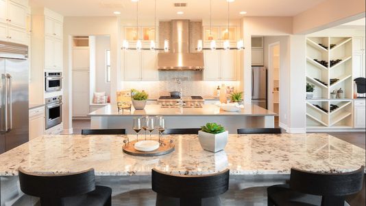 Elegance at Eastmark by Woodside Homes in Mesa - photo 20 20