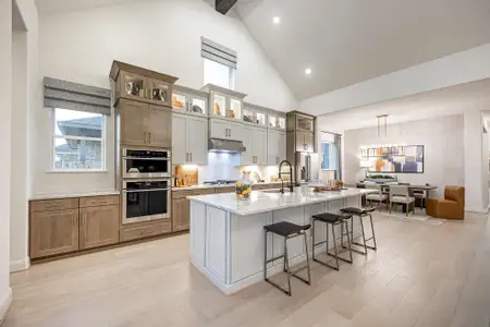 Briggs Ranch – Signature Legacy Series by David Weekley Homes in San Antonio - image 4