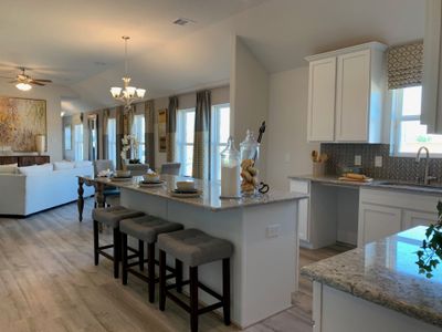 Anderson Lake by Smith Douglas Homes in Houston - photo 12 12